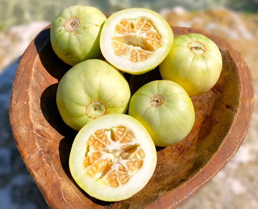 Sakata's Sweet Asian Melon - Image 7