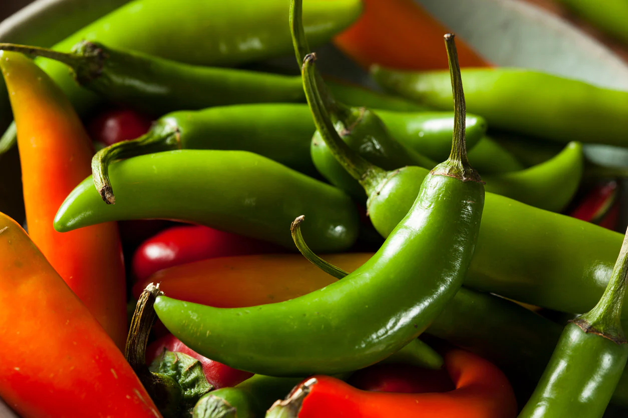 Serrano Pepper - Image 4