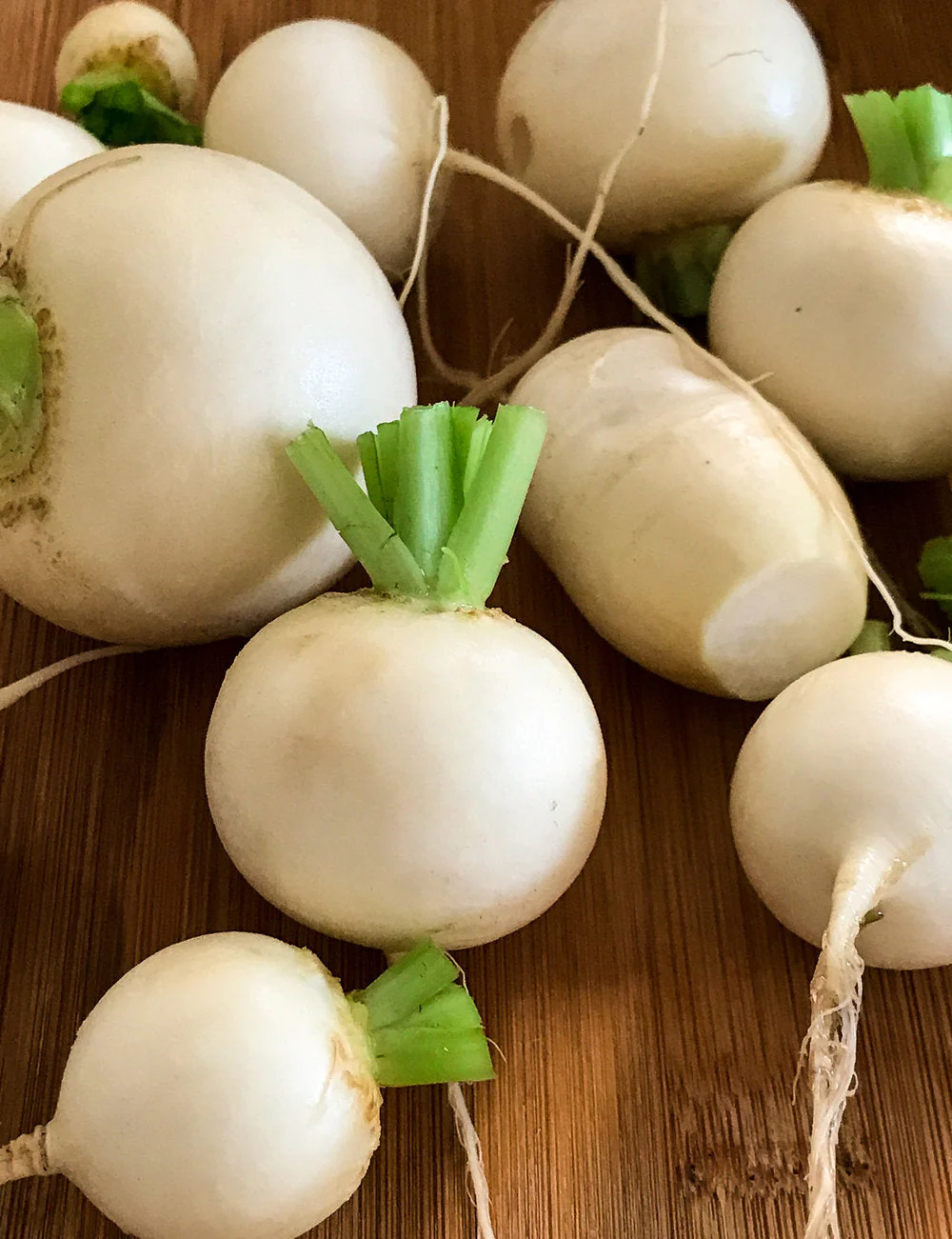 Shogoin Turnip - Image 2