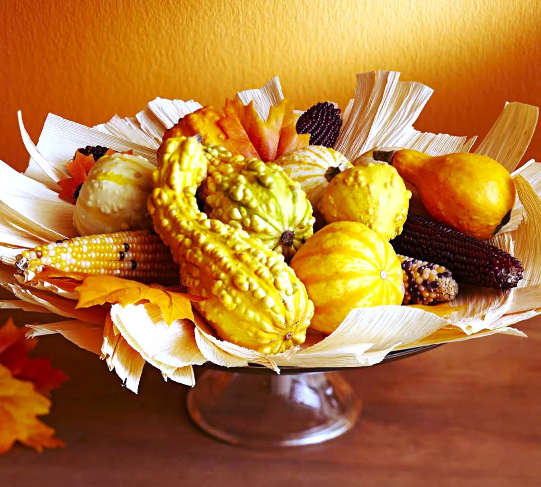 Small Warted Indy Mix Ornamental Gourd - Image 10