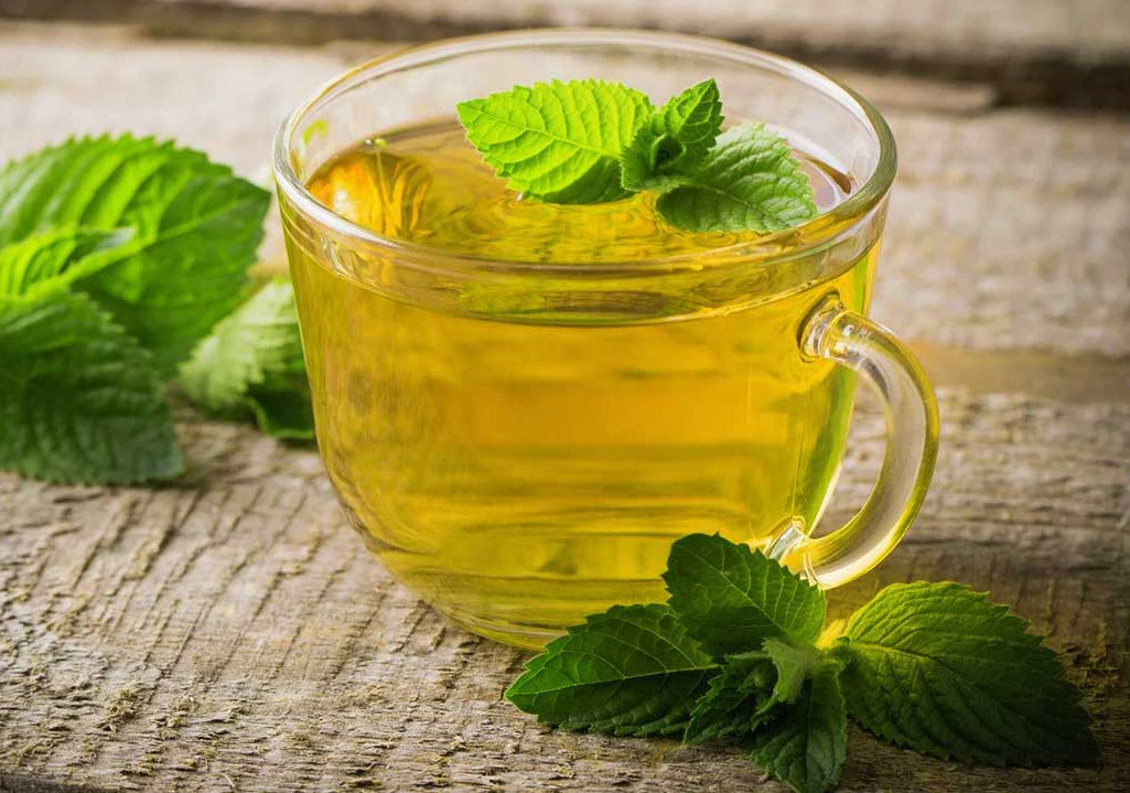 Spearmint - Image 5