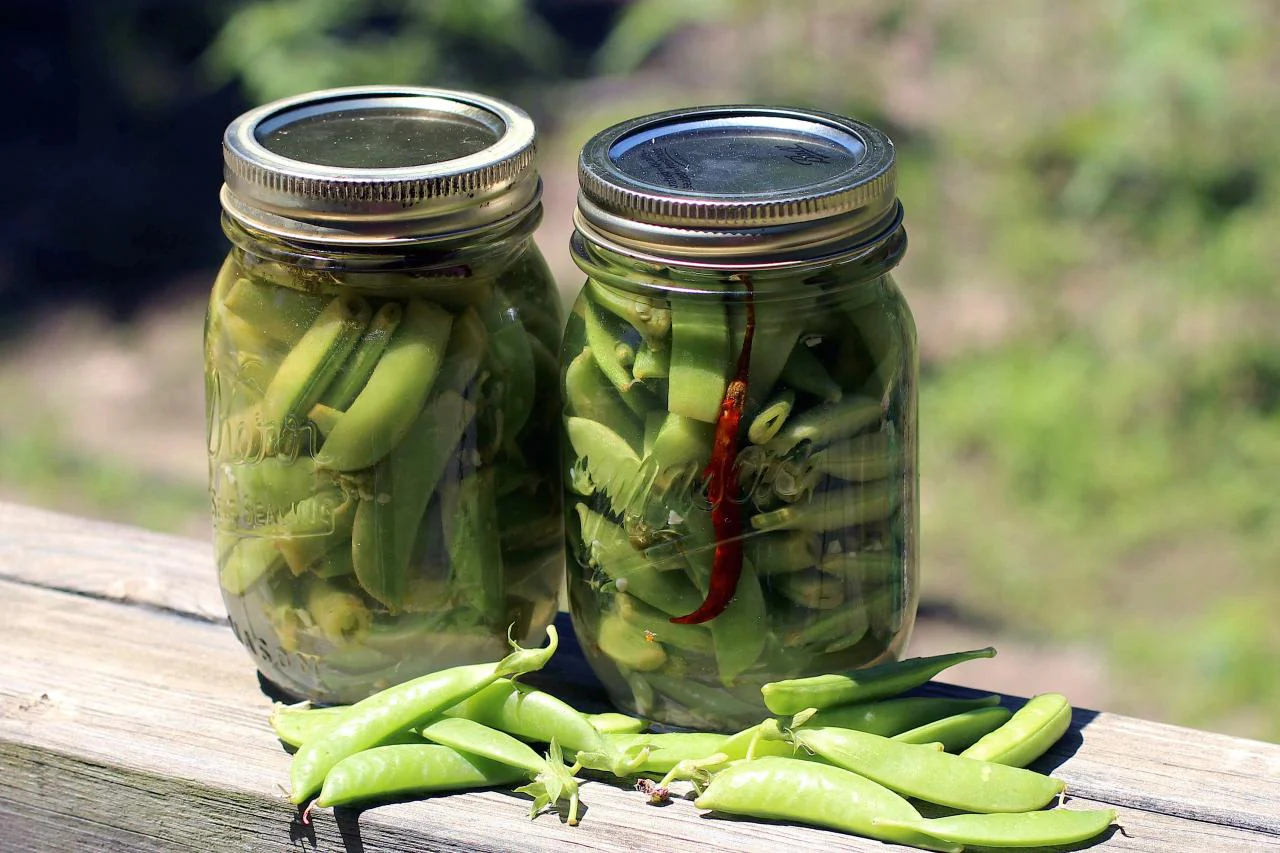 Sugar Ann Snap Pea - Image 5