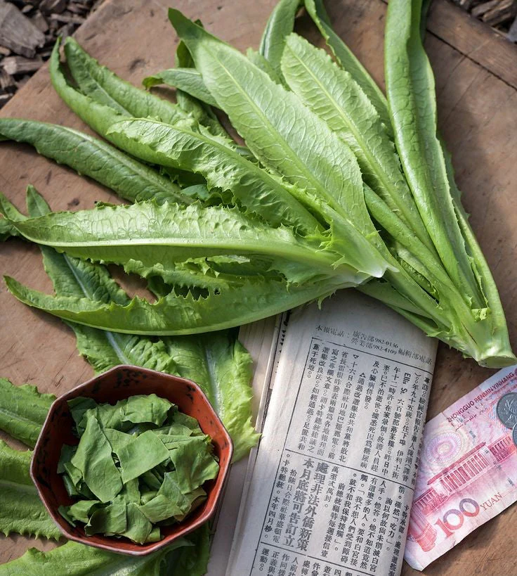 Sword Choy (A-Choy) - Image 4