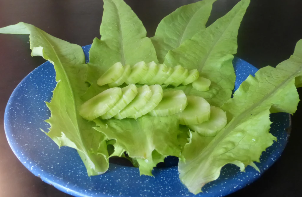 Sword Choy (A-Choy) - Image 7