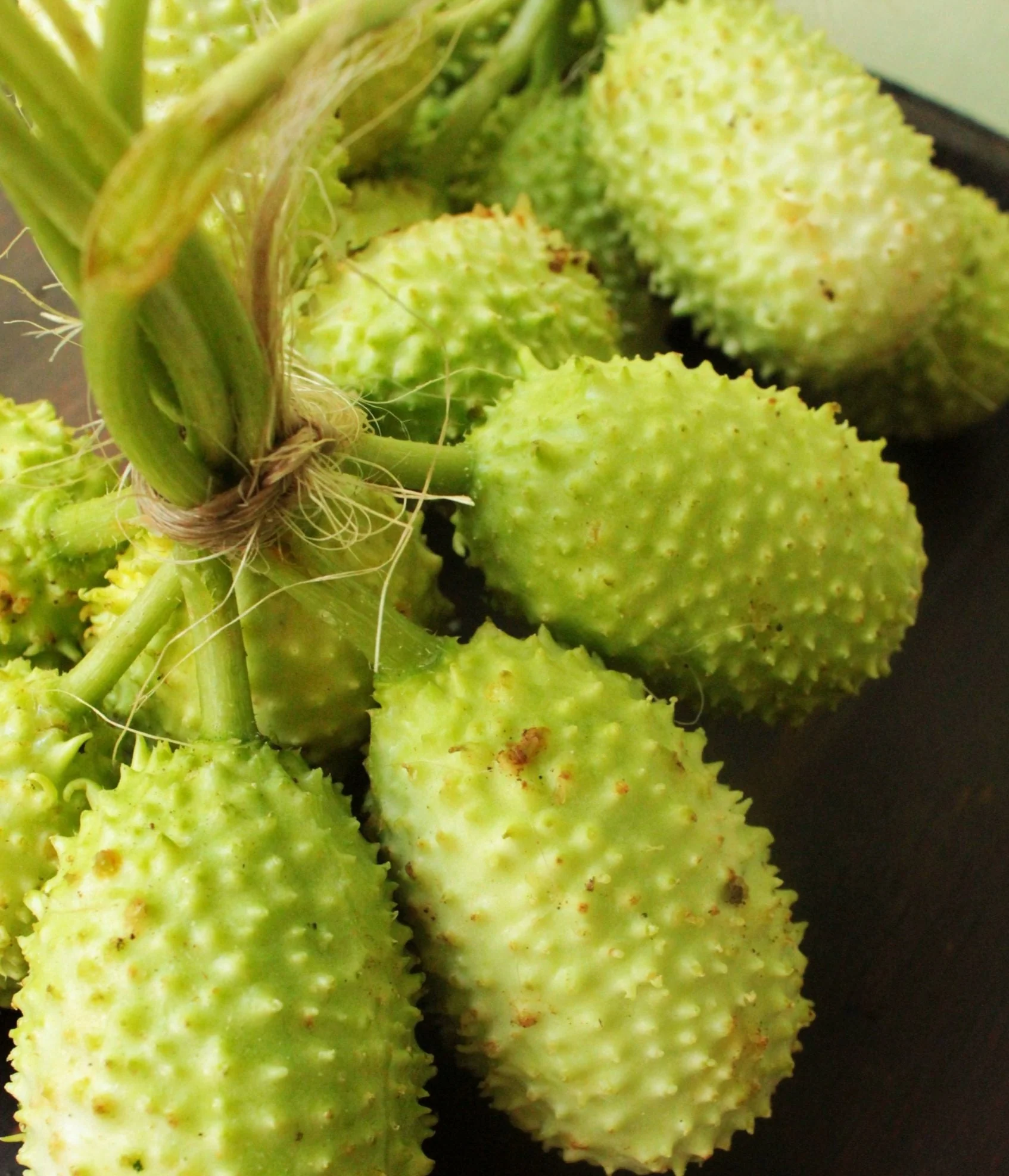 West Indian Gherkin Cucumber - Image 7