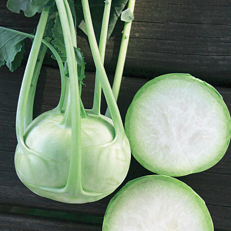 White Vienna Kohlrabi - Image 4